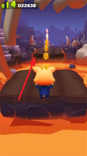 奔跑的宠物猫(图2)