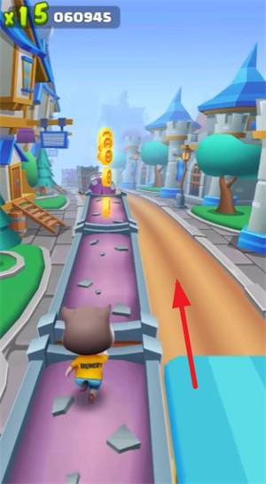 奔跑的宠物猫(图3)