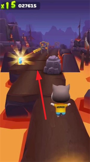 奔跑的宠物猫(图4)