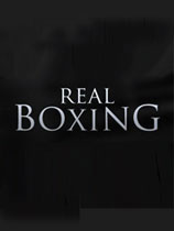 真实拳击