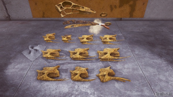 恐龙化石猎人(图3)