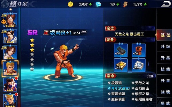 拳魂觉醒满v版(图5)