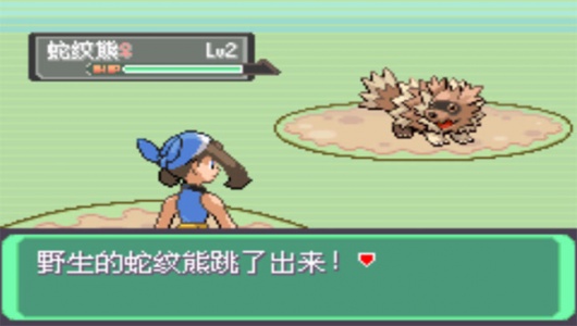 口袋妖怪漆黑的魅影